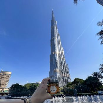 apicoltura sacco nel mondo