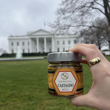 apicoltura sacco nel mondo