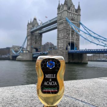 apicoltura sacco nel mondo