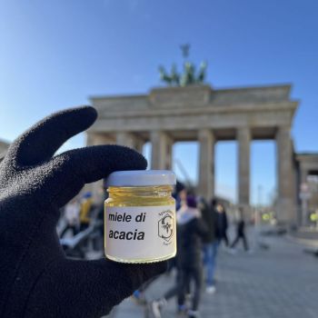 apicoltura sacco nel mondo