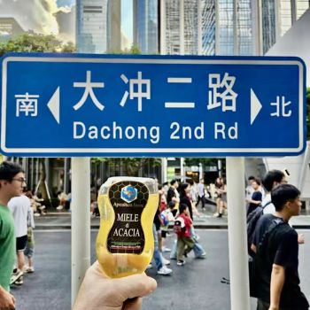 apicoltura sacco nel mondo