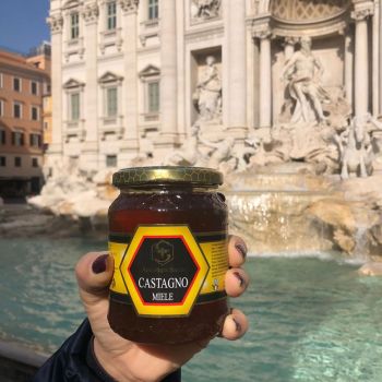 apicoltura sacco nel mondo