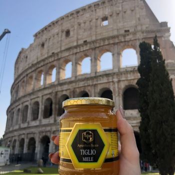 apicoltura sacco nel mondo