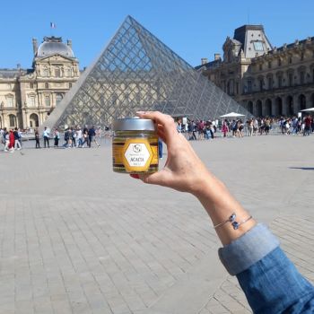 apicoltura sacco nel mondo