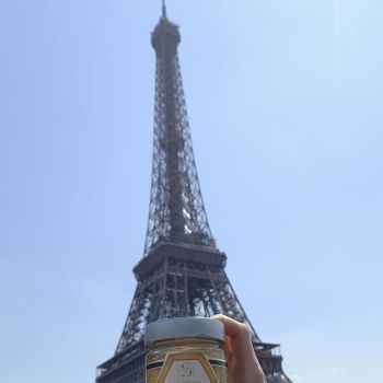 apicoltura sacco nel mondo