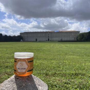 apicoltura sacco nel mondo