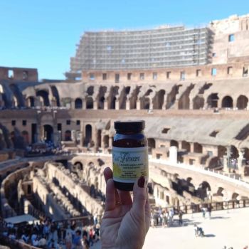 apicoltura sacco nel mondo