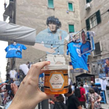 apicoltura sacco nel mondo